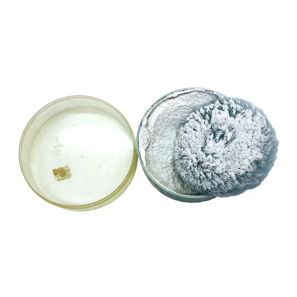 Vintage Delegar Spring Fresh Perfumed‎ Dusting Powder #5 Talc Fragrance USA